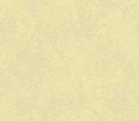 Обои Wallquest Bellagio FY40308